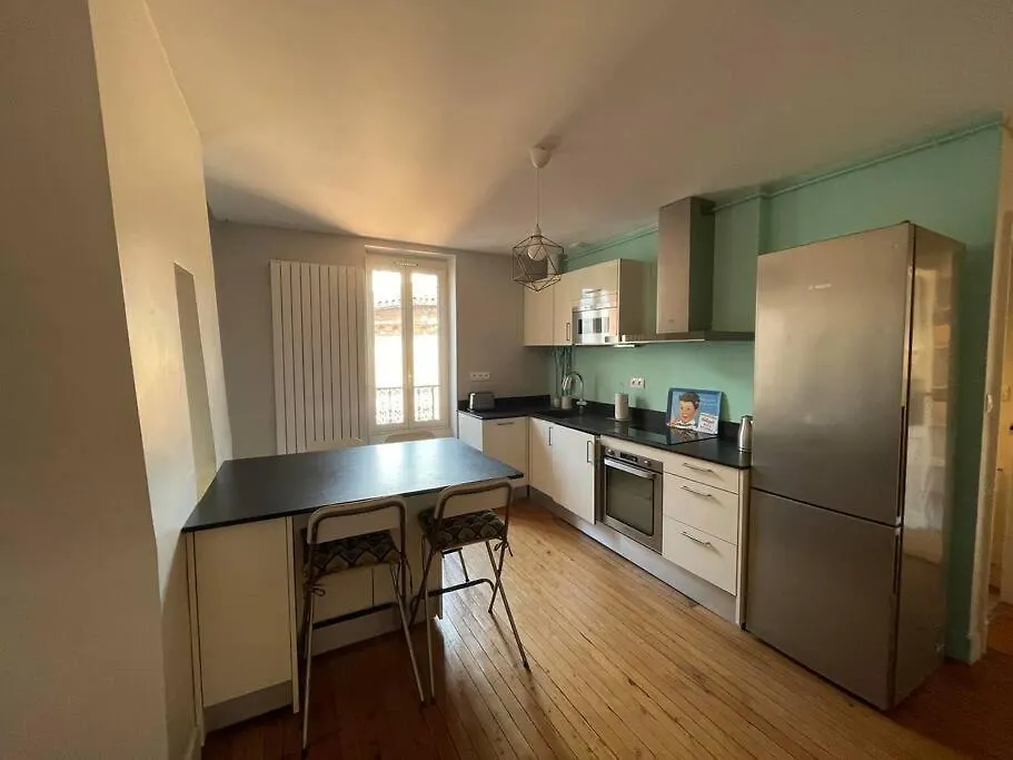 Le Nid De La Pomme Apartment Toulouse