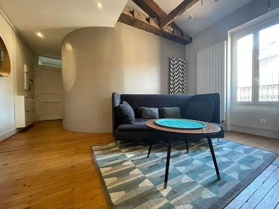 Le Nid De La Pomme Apartment Toulouse
