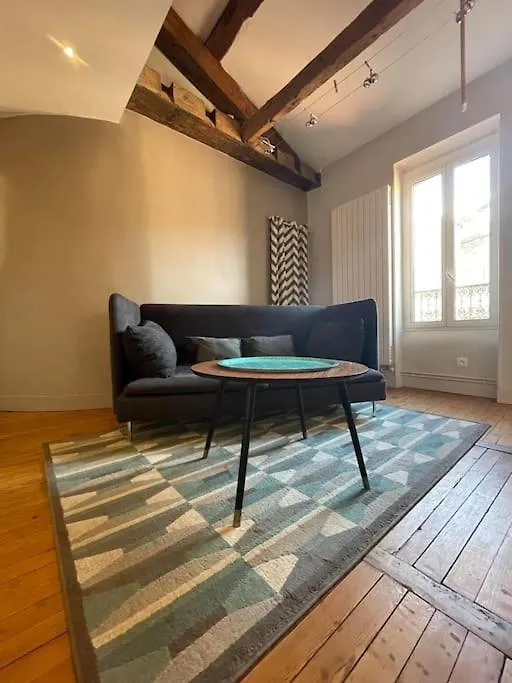 Le Nid De La Pomme Apartment Toulouse