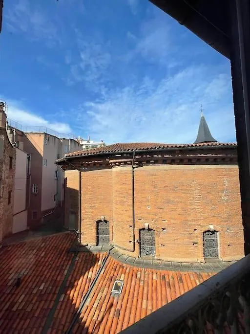 Le Nid De La Pomme Apartment Toulouse 0*,