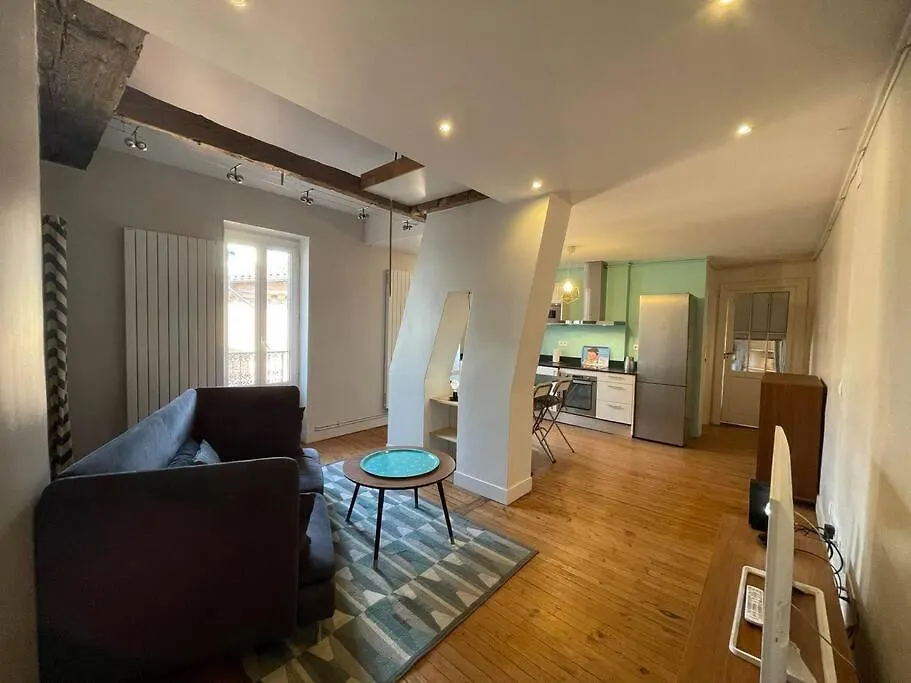 Le Nid De La Pomme Apartment Toulouse France