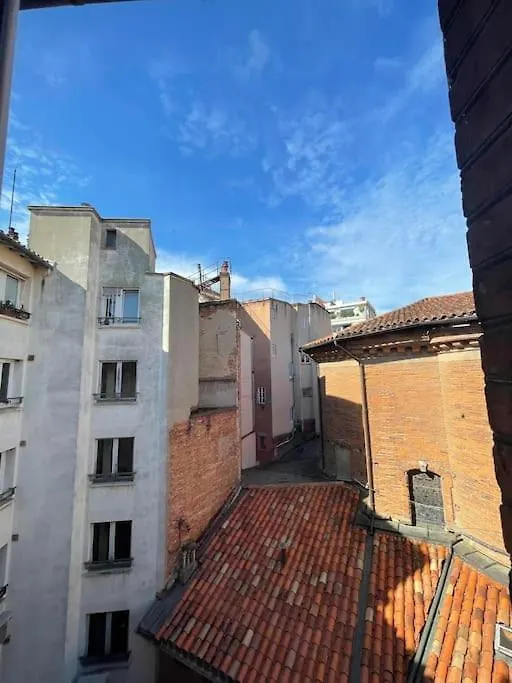 Le Nid De La Pomme Apartment Toulouse